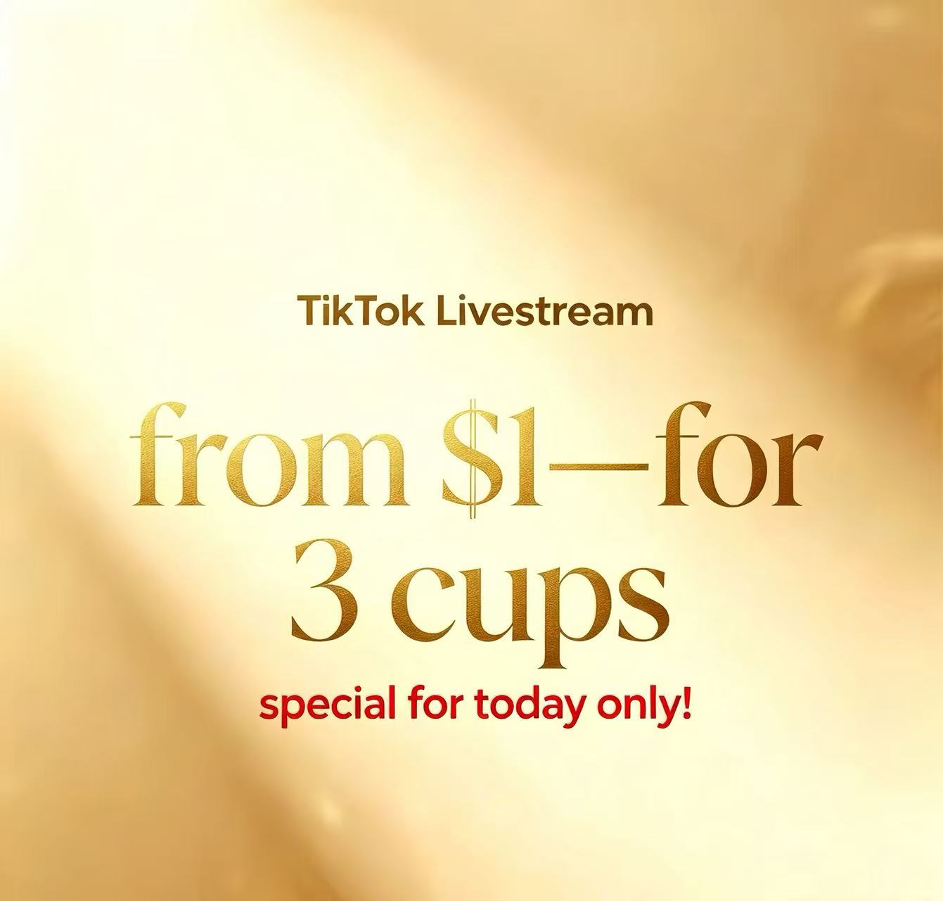 A3- Special Price of The Day